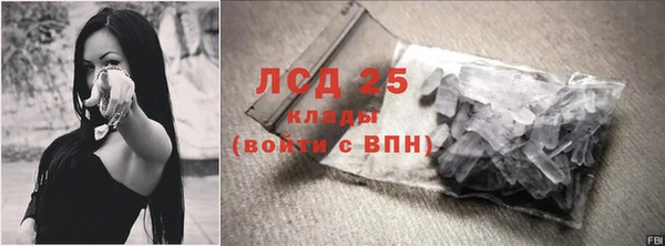 кокс Касимов