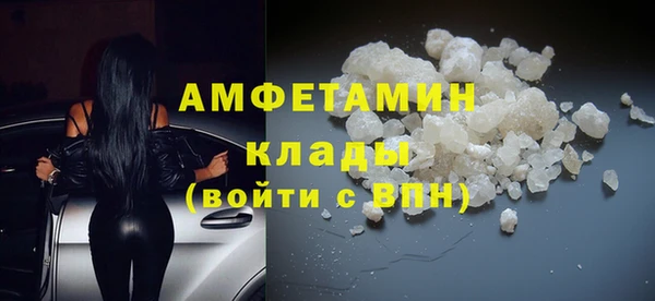 стафф Карпинск