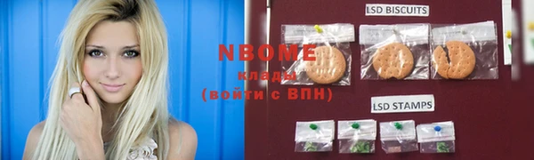 стафф Карпинск