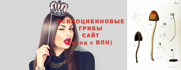 стафф Карпинск