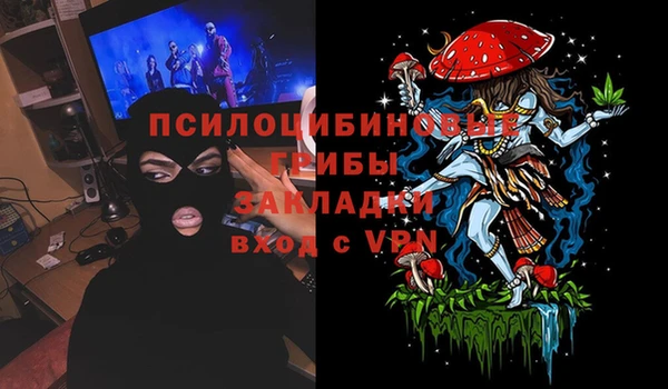 стафф Карпинск