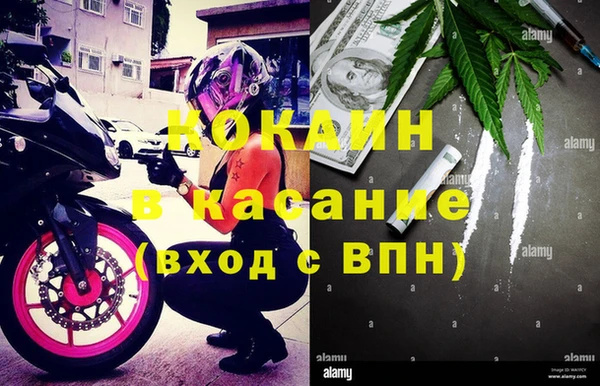 кокс Касимов