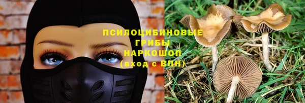 стафф Карпинск